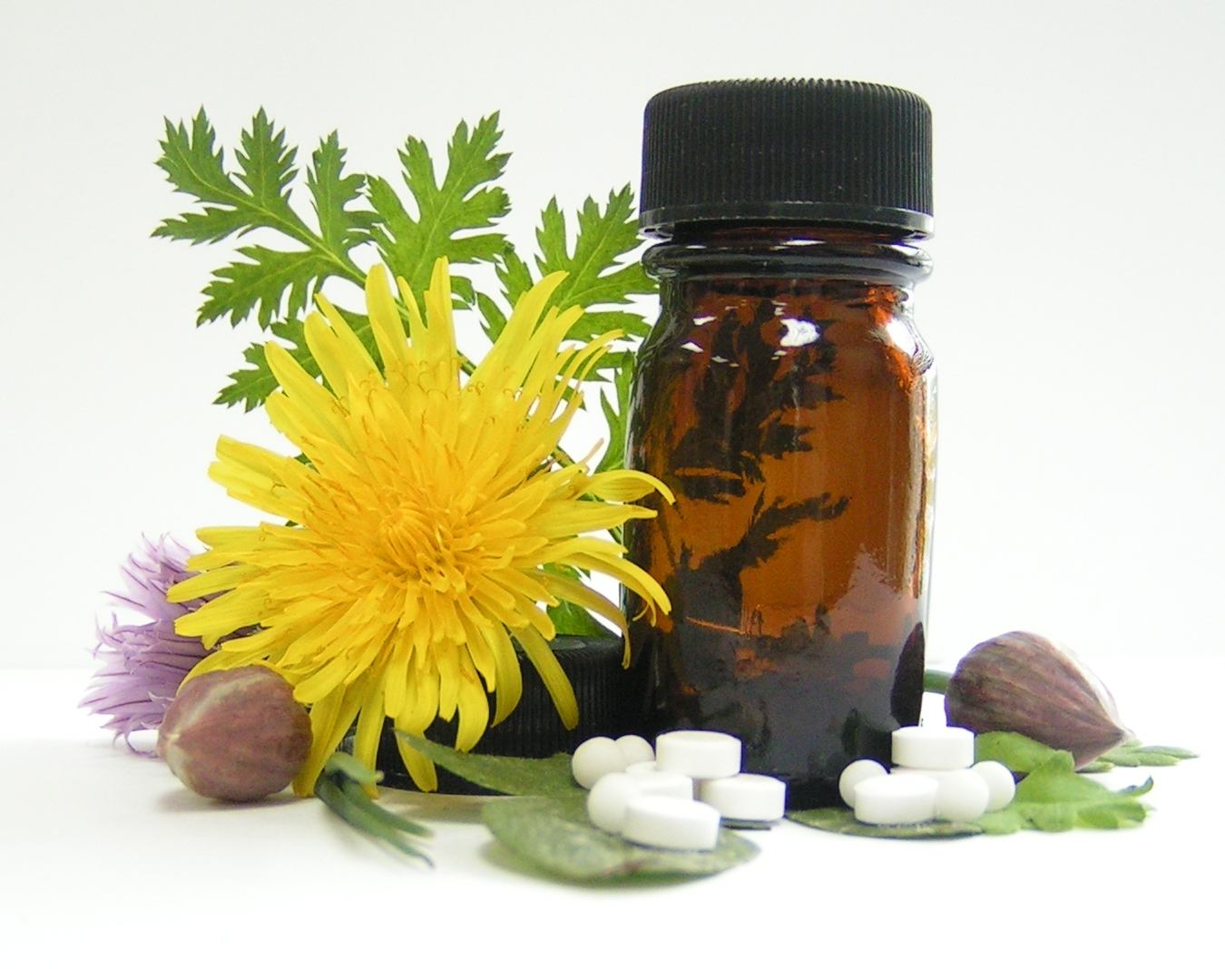 homeopathy-stockexhng
