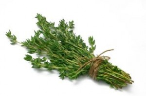 thyme