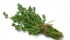 thyme