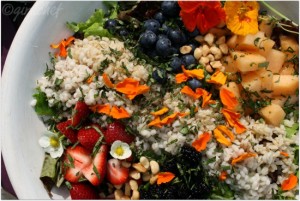 Fruit__Grains_Salad_w_Strawberry_Vinaigrette_closeup